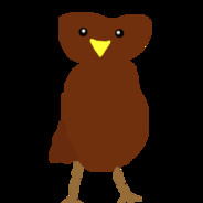 owl...
