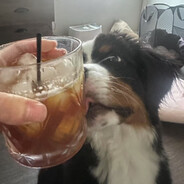 任何邪恶都将被绳之以法