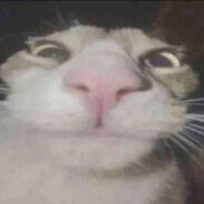 -607