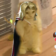 Ty_17