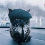 KiT B SHlЯПЕ