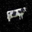 SpaceCows