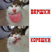 Вершки-Кишки