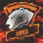 VipER.RPG CSBETGO.PL