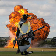 Aggressive Penguin