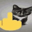Funny cats purveyor