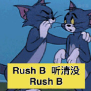 会Rush B的汤姆猫