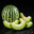 Melon