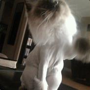 Zeusabuvus7 - steam id 76561197961441304