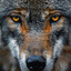 D3d903695da97508f0e48b5b013348f74fe425c5 medium