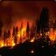 Blazeitlikeitsafuckinforestfire