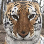 老师同学在天堂