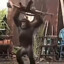 凯撒