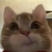 来恰一只脆皮鸭