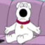 brian griffin (real)