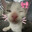 beebert
