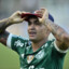 EU VI O PALMEIRAS DO ABEL