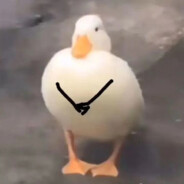 两个傻逼一起织毛衣