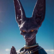 Lord Beerus