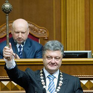 птичка негри бердс