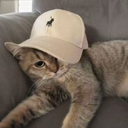 fisi
