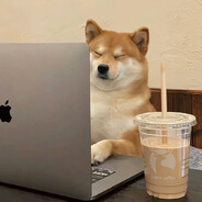 猪在山里针不辍