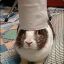 Lapin Sopalin