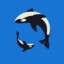Orca Scar