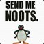 Send Noots