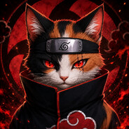 Mr. Kitty