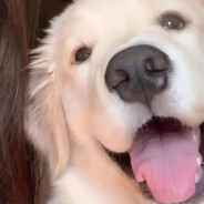 我是牢大，快让我起飞