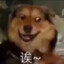 加油特种兵