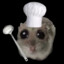 cook hamster