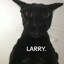 Larry