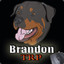 BrandonTRP