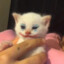 фимозик