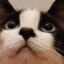 AggressiveKibby
