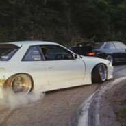 买人参吗买人参吗