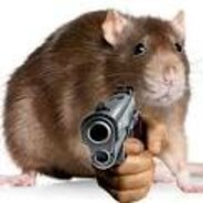 Rat With Gat