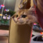 圆圆