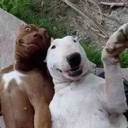 The best Clauderrrrr