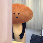 七七宝贝一点不菜