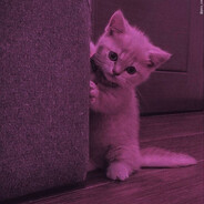 im_too_strong