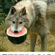 敲电子木鱼见机甲佛祖