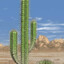 A Wild Cactus