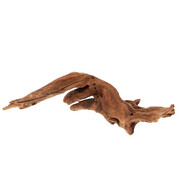 nadreprezentowaneŻYDOSKIEinteres