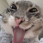gurt