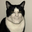 Hail’Kitler