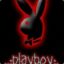 PlayBoy