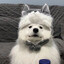 Nanix
